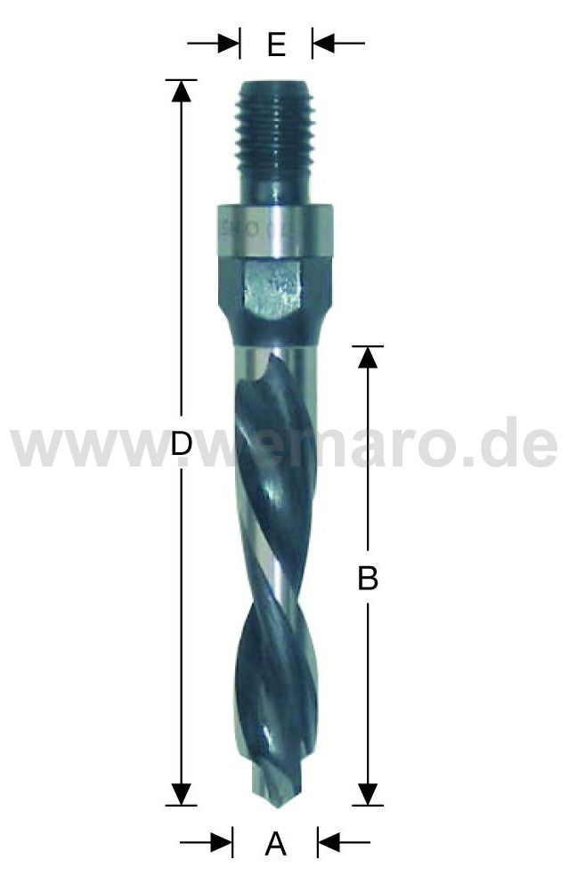 Olivenbohrer HSS-E, M-10 AG 12x80/113 mm links, mit Vorbohrer